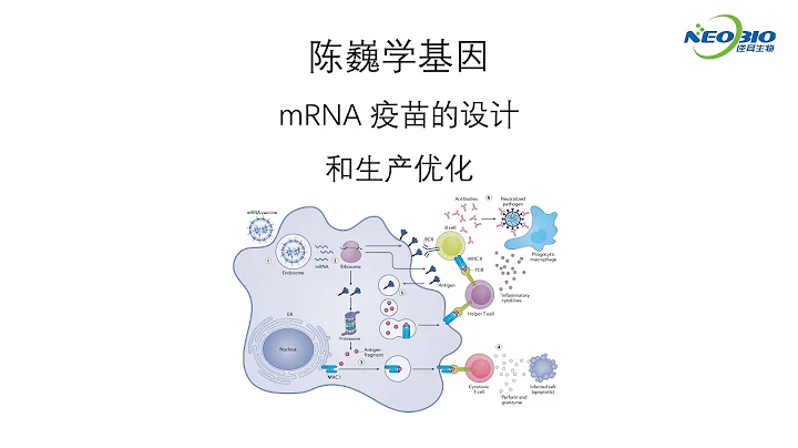 【陳巍學基因】mRNA 疫苗的設計和生產優化 - 天天要聞