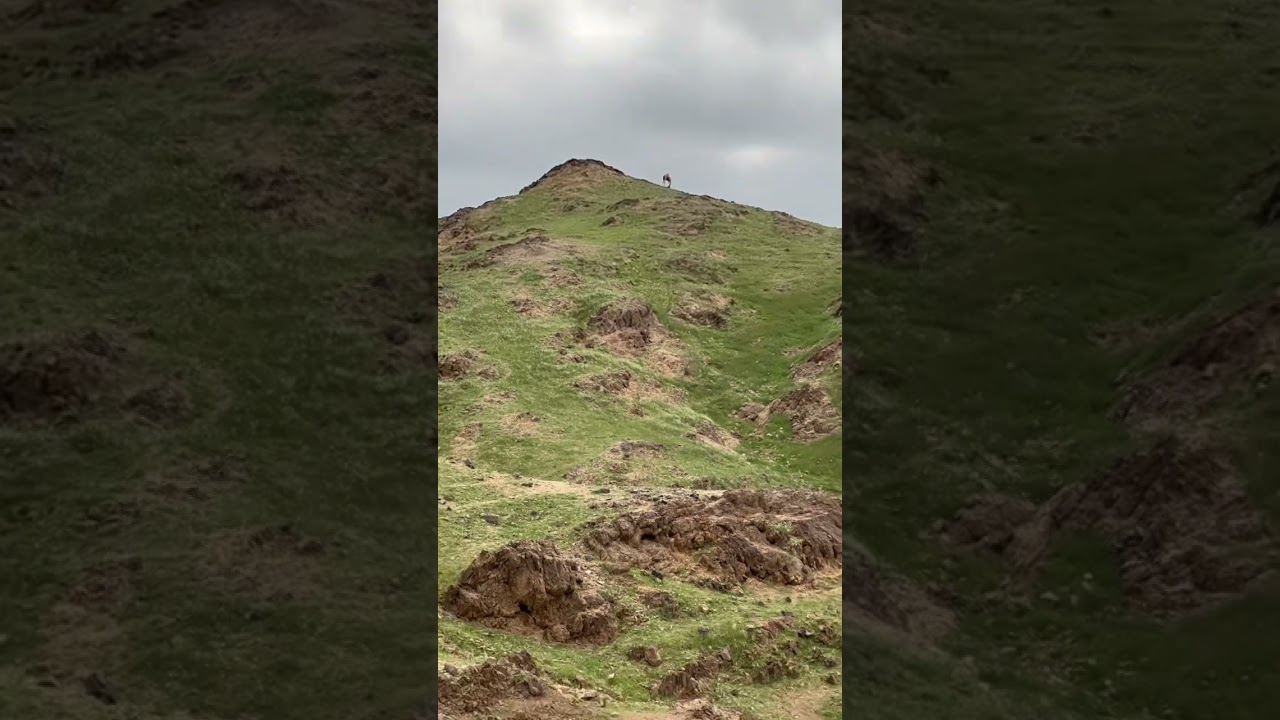 2 سجة ربيع جنوب مكة ١٤٤٤هـ