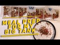 Meal Prep and Fish feeding with Xtreme Fish Foods