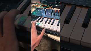 Arteria minifreak is pretty cool #music #synth