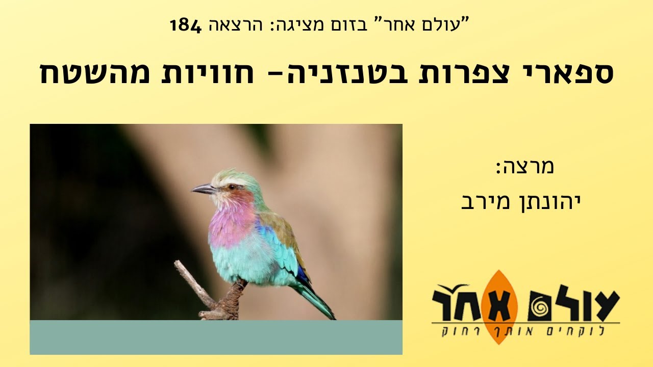 ספארי צפרות בטנזניה - חוויות מהשטח - מרצה יהונתן מירב הרצאה מספר 184 עולם אחר בזום