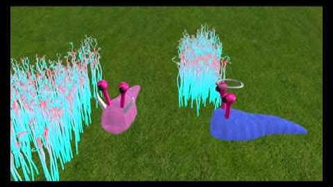 Autodesk Maya Animation