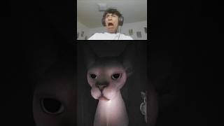 THIS GAME HAS JUMPSCARES EVERY 5 SECONDS 💀 #CLINK #fyp #GAMING #AVIDISAVID #scary #viralshort #fyp