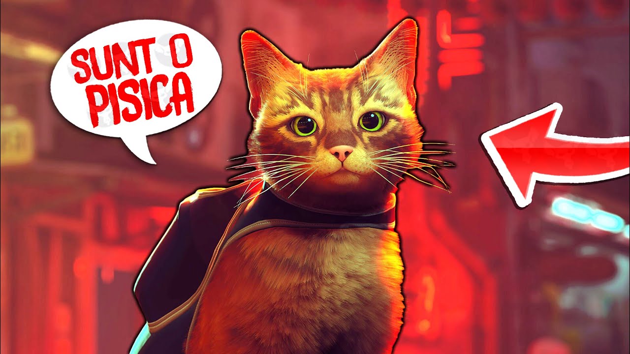 Sunt o PISICA! Stray