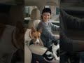 POV: o seu dia fica melhor quando ele aparece 🐾❤️