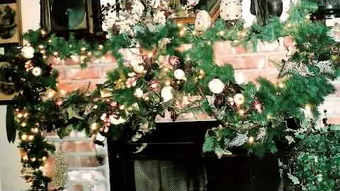 Julia Bridges Professional Christmas Designer