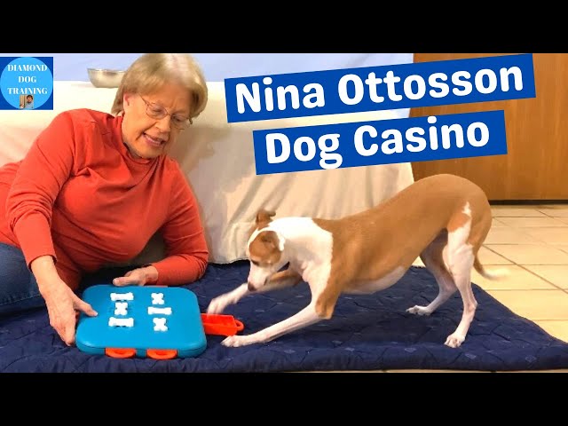 NINA OTTOSSON NINA OTTOSSON Dog Casino Puzzle - The Fish & Bone