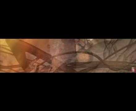 Cell Signals (Part 2 of 2)