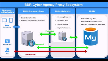 BDR Cyber Agency Proxy Ecosystem For GDPR CCPA General Compliancy