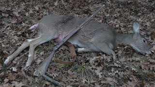 2021 Primitive Muzzle Loader Deer Hunt by Primitive Preacher 747 views 2 years ago 8 minutes, 39 seconds