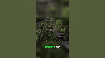 The Treasure Hunt Isn’t Easy with These Mountains | 7 Days to Die