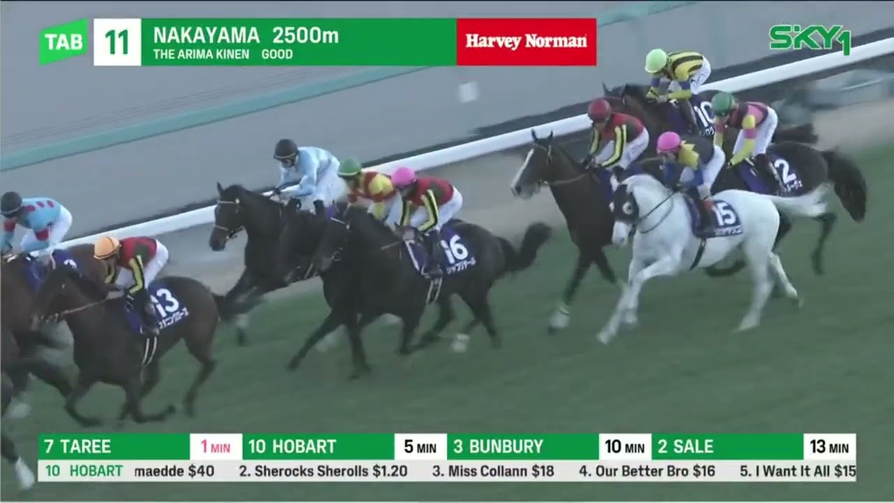 REGALEIRA - (G1 ARIMA KINEN) - 2500M - NAKA 22/12/24