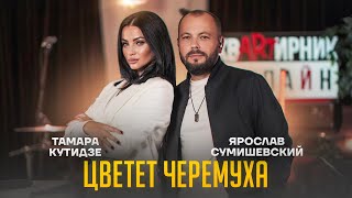 Смотреть клип Я. Сумишевский & Т. Кутидзе - Цветет Черемуха