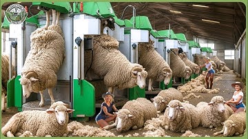 Modern Farming Machines on Another Level - How Farmers Make Millions With Genius Farm Inventions