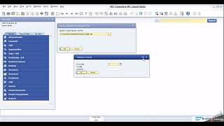 Video (11): External Crystal Report Preview in SAP Business One