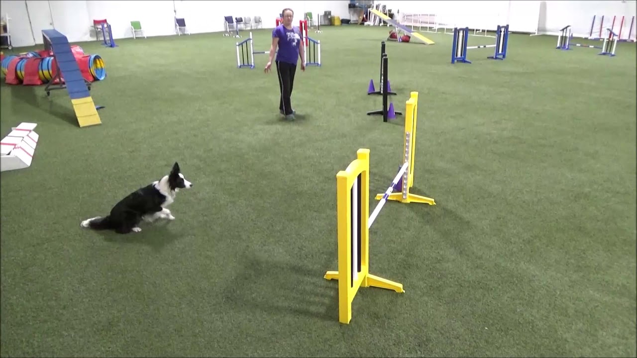 2020 01 19 HHDS Training   Course Work and Full Height RDWs   Sisu movie