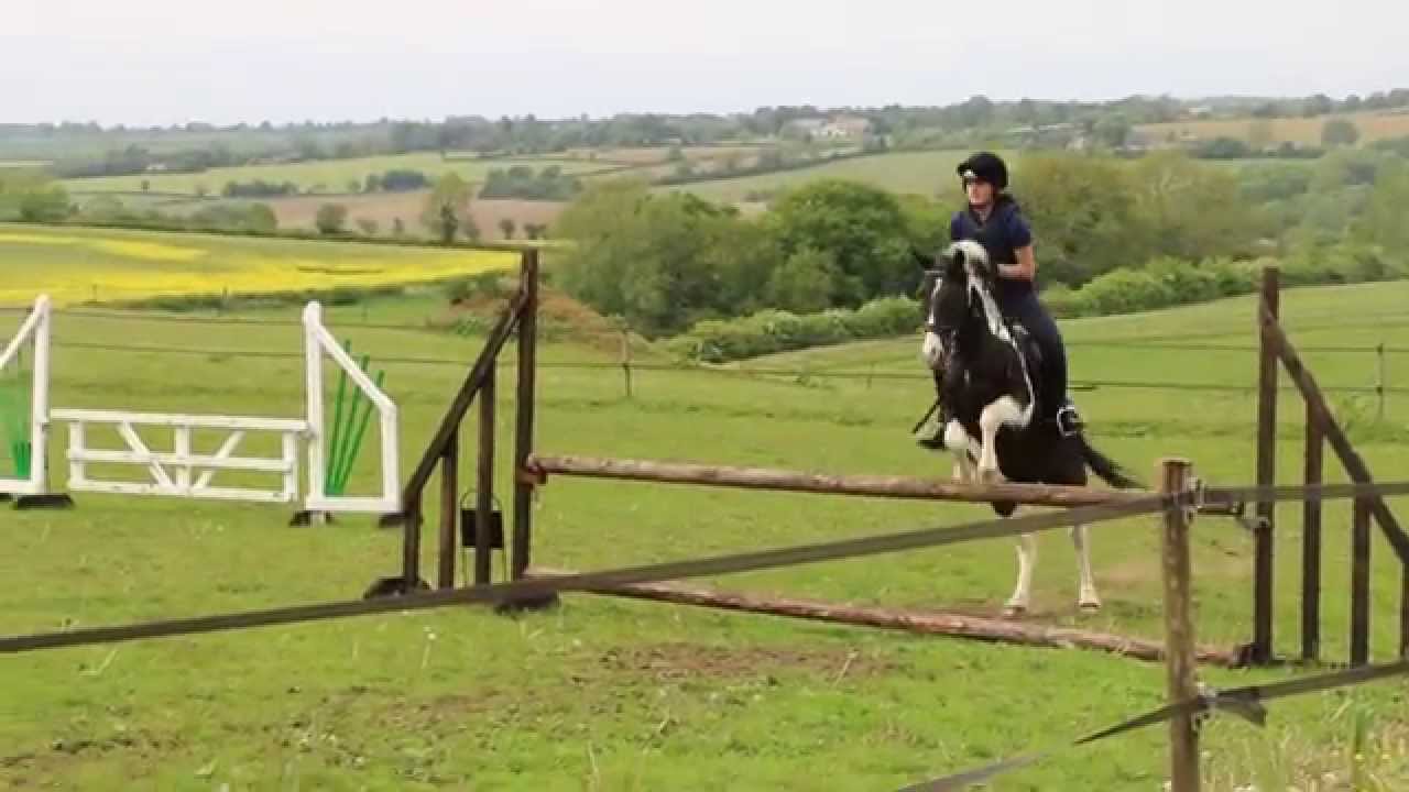 Show jumping lesson {Roger} YouTube