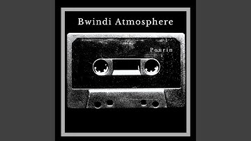 Bwindi Atmosphere