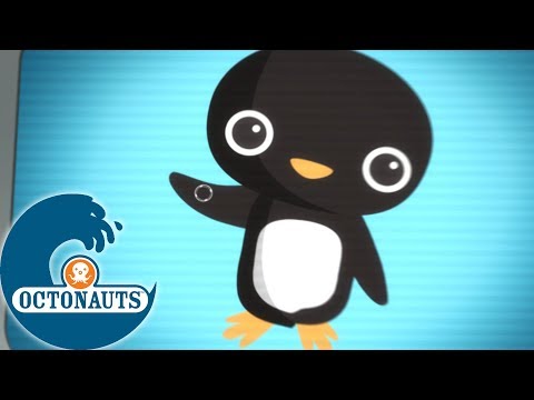 Octonauts - Le chant des pingouins | Aventures Sous Les Mers