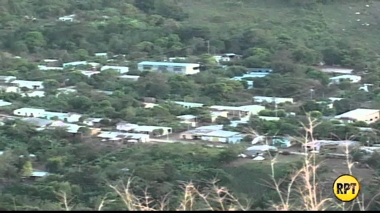 Ejército erradicó matas de coca