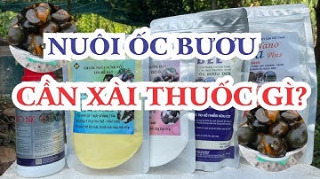 CÁC LOẠI THUỐC CẦN CÓ KHI NUÔI ỐC BƯƠU ĐEN, ỐC NHỒI. HƯỚNG DẪN SỬ DỤNG CỤ THỂ CHO NGƯỜI MỚI NUÔI