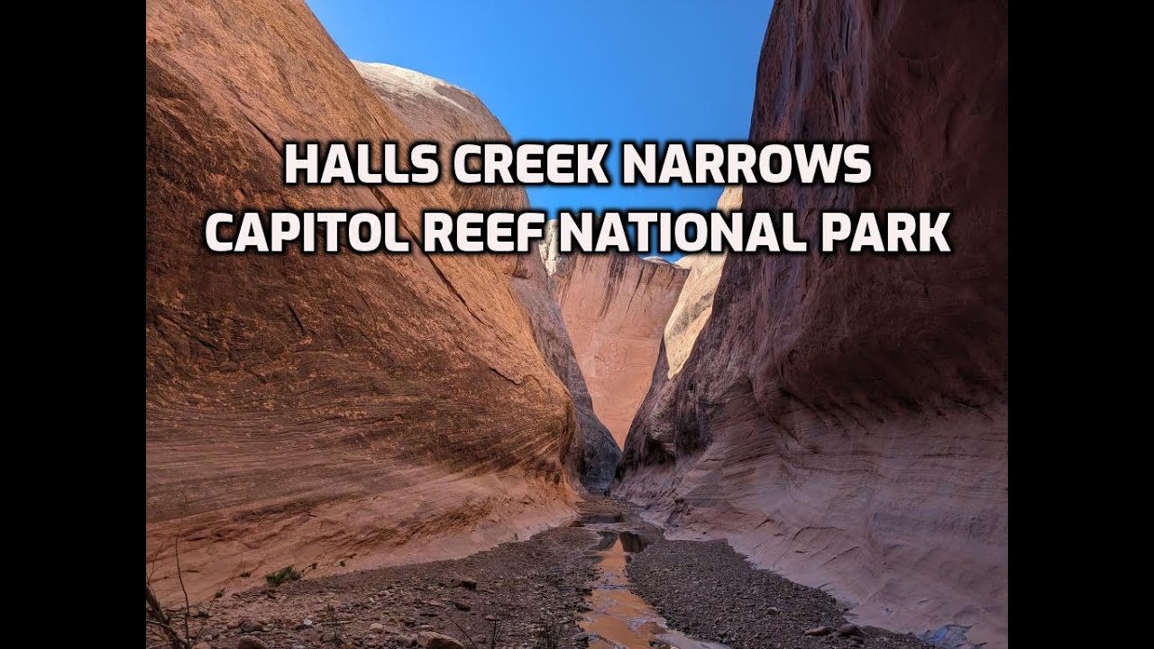 Halls Creek Narrows   Capitol Reef National Park