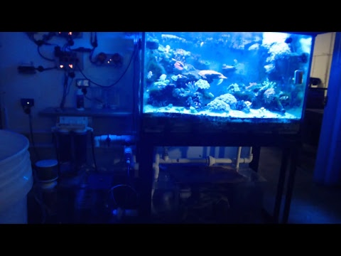 Matt Klapper Live Stream