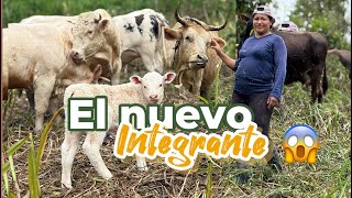 I came back after several weeks and found one more.