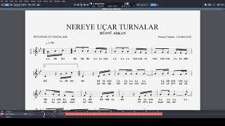 NEREYE UÇAR TURNALAR - HÜSNÜ ARKAN NOTA Resimi