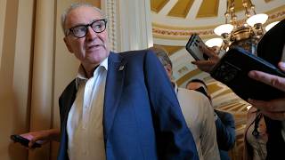 Schumer Is In Full Panic Mode After Trump’s Plan Leaks — This Will END The Democratic Party