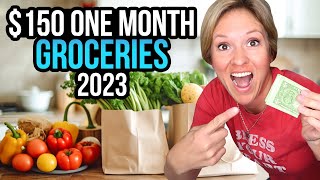 I Spent $150 At The Grocery Store... The Result? You Have To See!