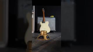 Can The Celestion 10&quot; gold rock AC/DC style? #celestion #speaker #guitar