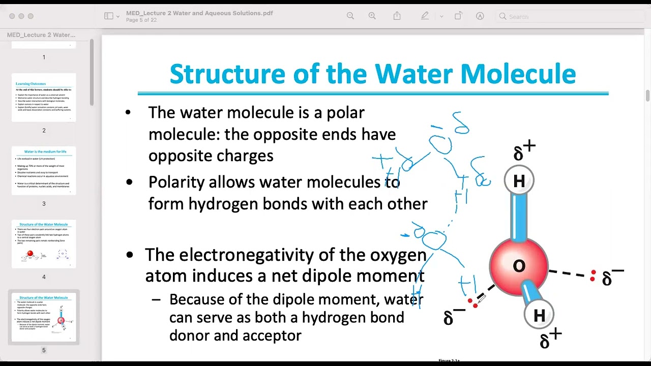 شرح كيمياء حيوية المحاضرة الثانية جزء أول Water and Aqueous Solutions