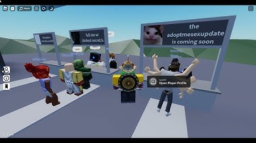 questionable things in Rate My Avatar... (ROBLOX)