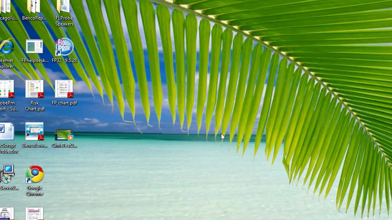 A Tour of the Florida Probe FP32 Software