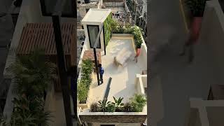 Terrace makeover 🏠🥰 #terracegarden #design #makeover #interiordesign#india #vastunaaries #viral#asmr