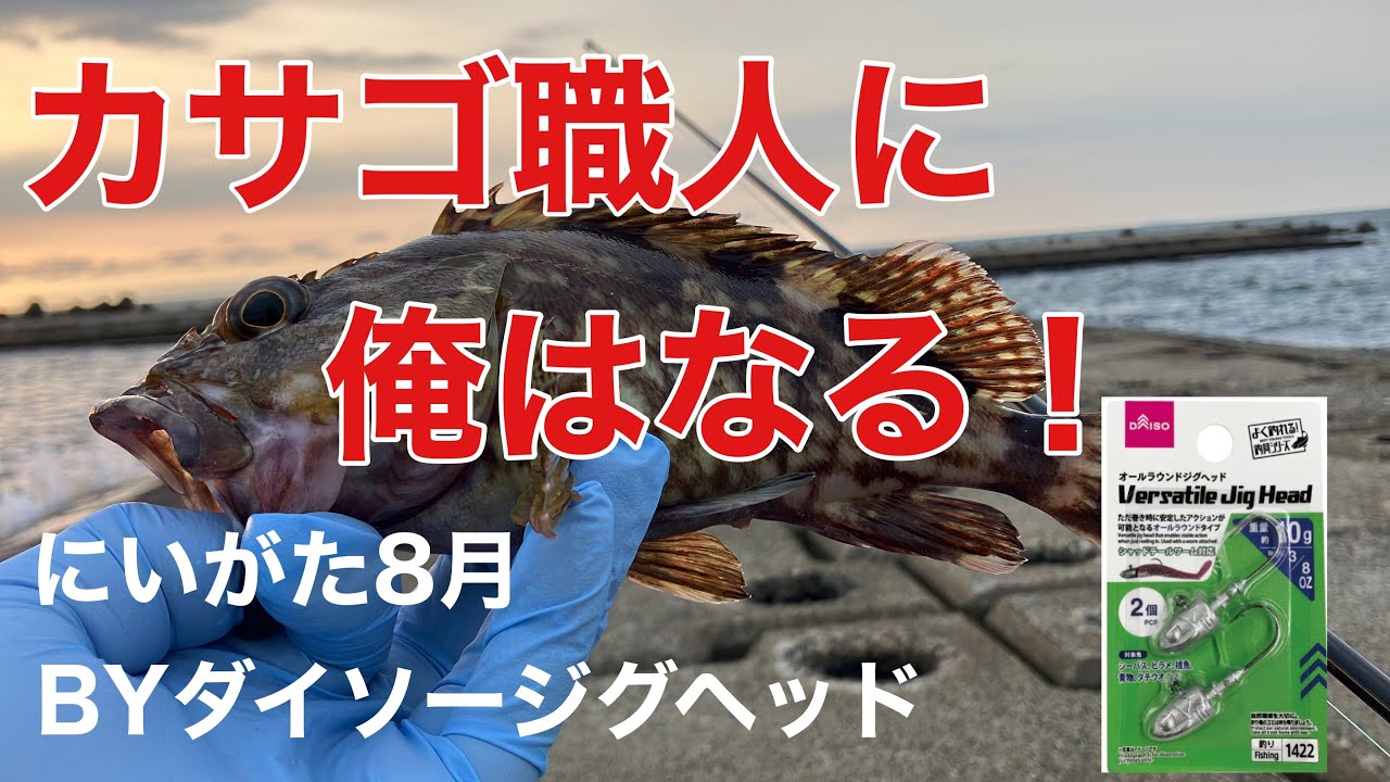 カサゴ職人に俺はなる！新潟釣りBYダイソージグヘッド10g - YouTube