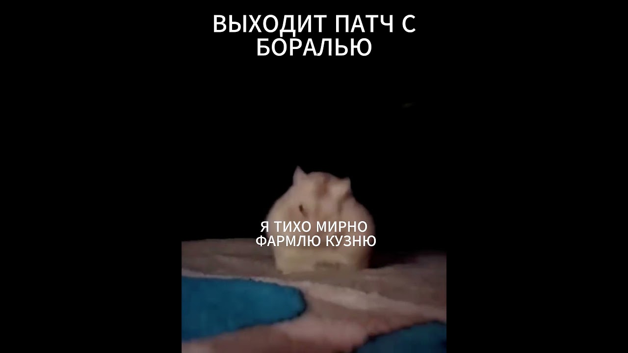 ЗИМНЯЯ БОРАЛЬ  