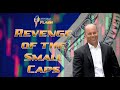 ITPM Flash Ep26 Revenge of the Small Caps