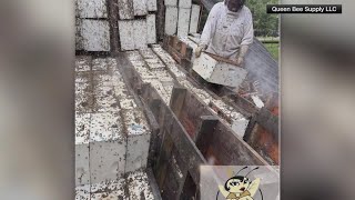Truck carrying 2 million bees crashes in Texas