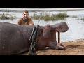 Hippo hunt in selous tanzania africa