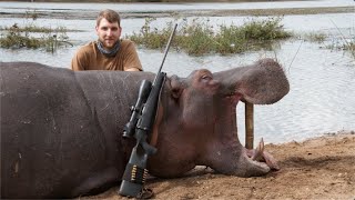 Hippo hunt in Selous Tanzania, Africa. screenshot 1