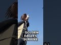 Golden Eagle's INSANE Hunting Secret Will SHOCK You! 🦅⚡