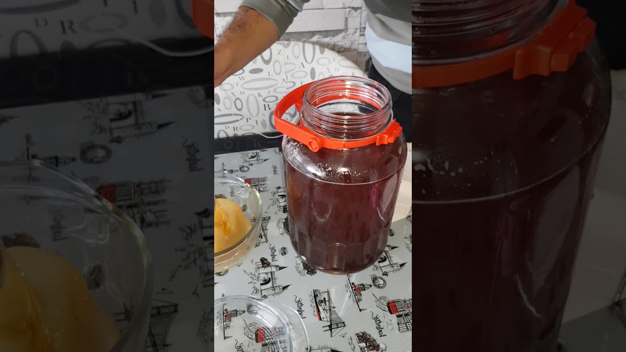 Kombucha Çayı Zayıflatır Mı Kombucha Çayı Zayıflatır Mı