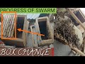 My first swarm of season progress box change beekeping in bijbehara apis cerana swarm