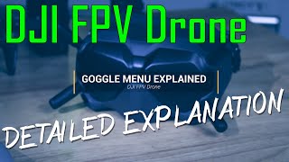 DJI FPV Drone Goggle Menu Walkthrough Settings Explained | Setup your FPV Correctly