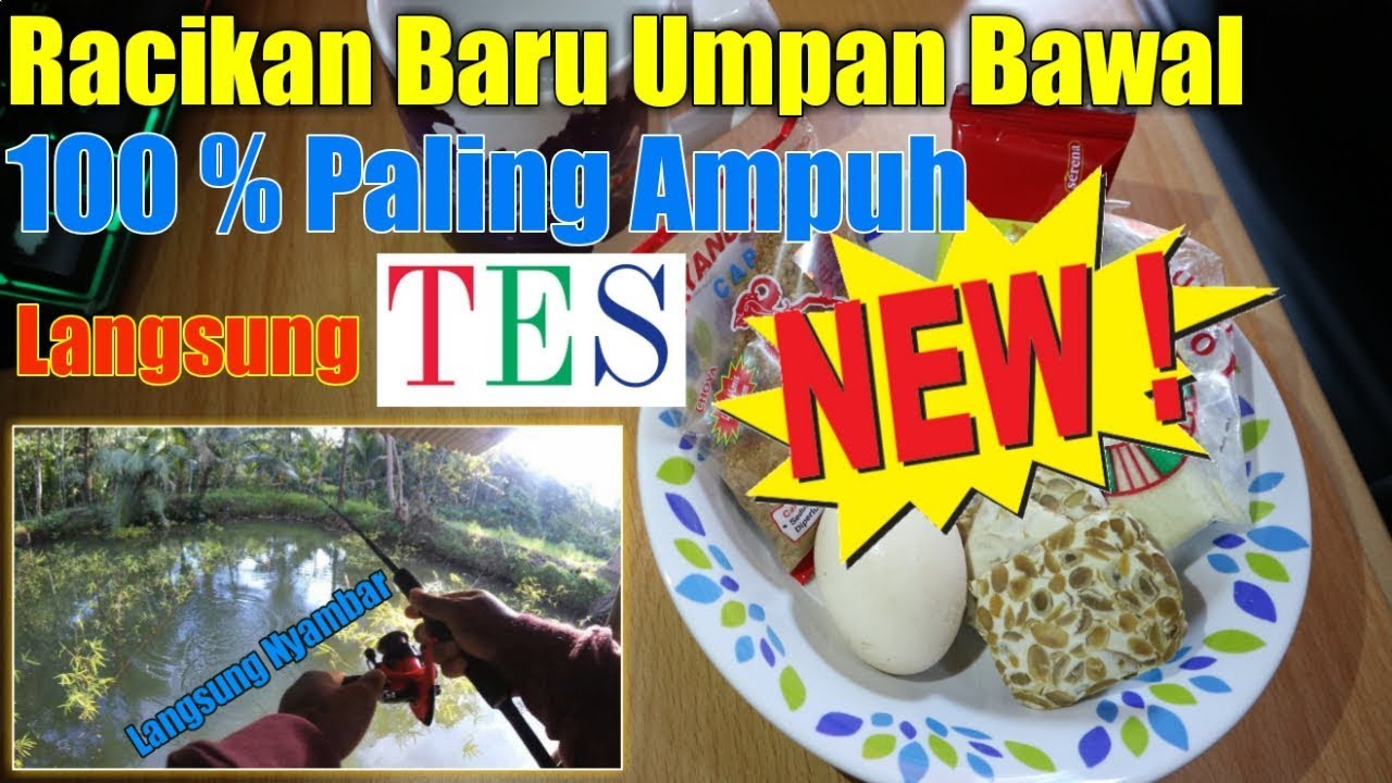 Umpan Ikan Bawal Dijamin Langsung Nyambar (100% AMPUH)