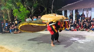 Solah Pembarong Terbaik Pagelaran Seni Reog Tabuhan Gayeng Desa Sumberejo Balong