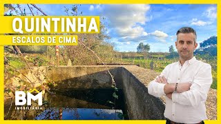 QUINTINHA | ESCALOS DE CIMA | 10.000€