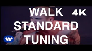 Video thumbnail of "Walk in E Standard Tuning"